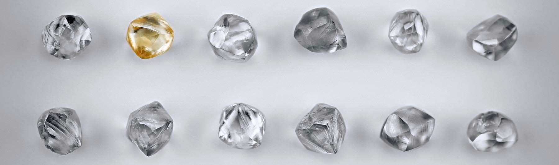 Các thông tin chung có trong giấy chứng nhận kim cương