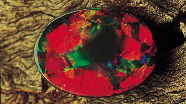 Opal Color Black Red