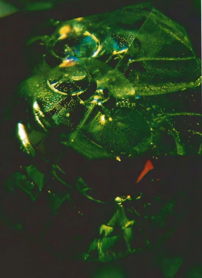 Peridot Mexico chứa tạp chất màng thủy tinh
