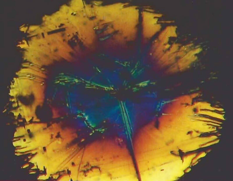 Các tạp chất bên trong đá Peridot Mỹ, Lily Pad dưới ánh sáng quang học